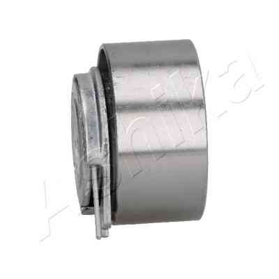 Ролик натяжителя ремня ASHIKA 45-09-925 Винница