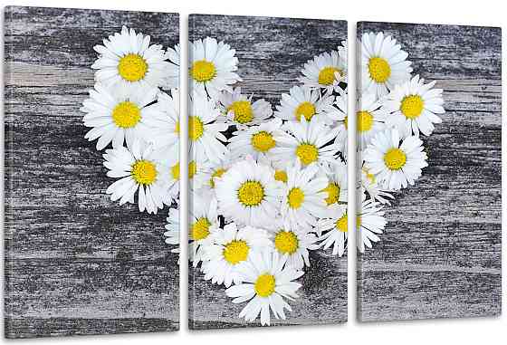 Модульна картина Ромашки серце Art-72_3А 70x130 см Київ