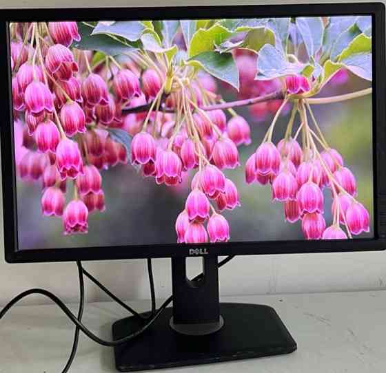 Монитор: DELL - 24