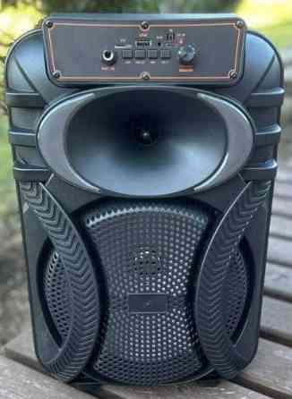 Портативная колонка с 2️⃣ микрофонами и светомузыкой на аккумуляоре.  ‼️ Киев