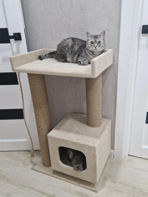 Когтеточка дряпка с домиком и лежанкой 85×55×35 см, комплекс для кота Киев - изображение 1