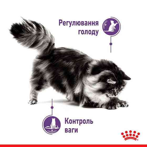 Royal Canin Appetite Control Care (Роял Канин Аппетайт Контрол) корм кусочки в соусе для полных котов 85гх12шт Запорожье