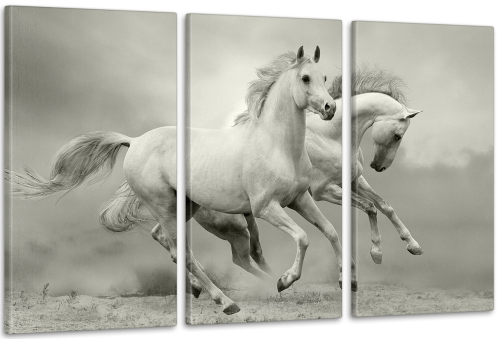 Модульна картина Природа Коні (53х100см) Аrt-125_3А Київ - фото 1