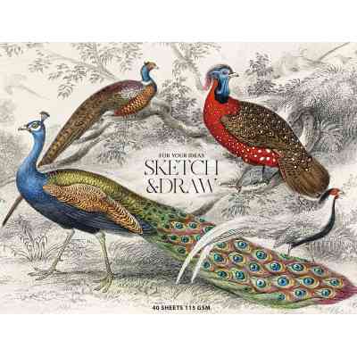 Альбом для малювання Школярик для ескізів та малювання, MUSE А4 40 аркушів 115г/м2 (PB-GB-040-067) Вінниця