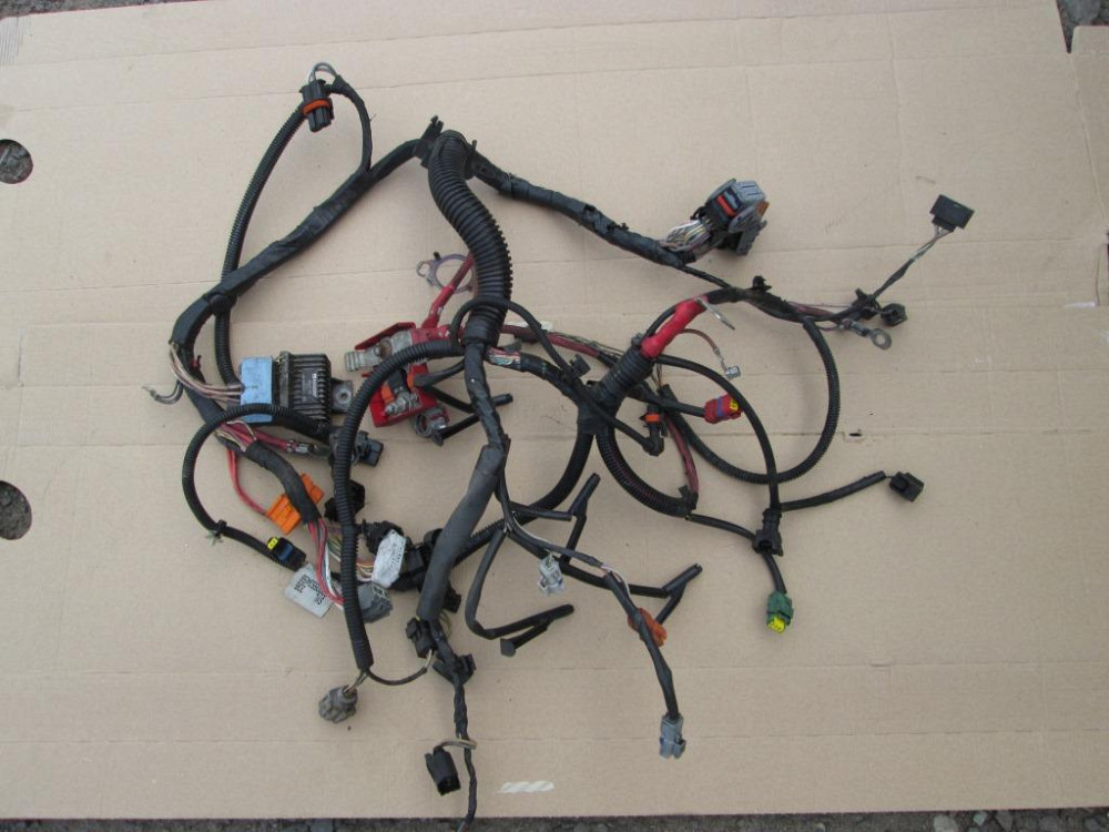 Проводка двигуна Renault Scenic II 1.5 dci 2003-2009 Ковель - изображение 1