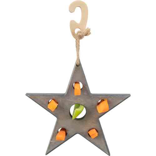 Игрушка Trixie для грызунов Звезда для лакомства серая 14х17 см Киев