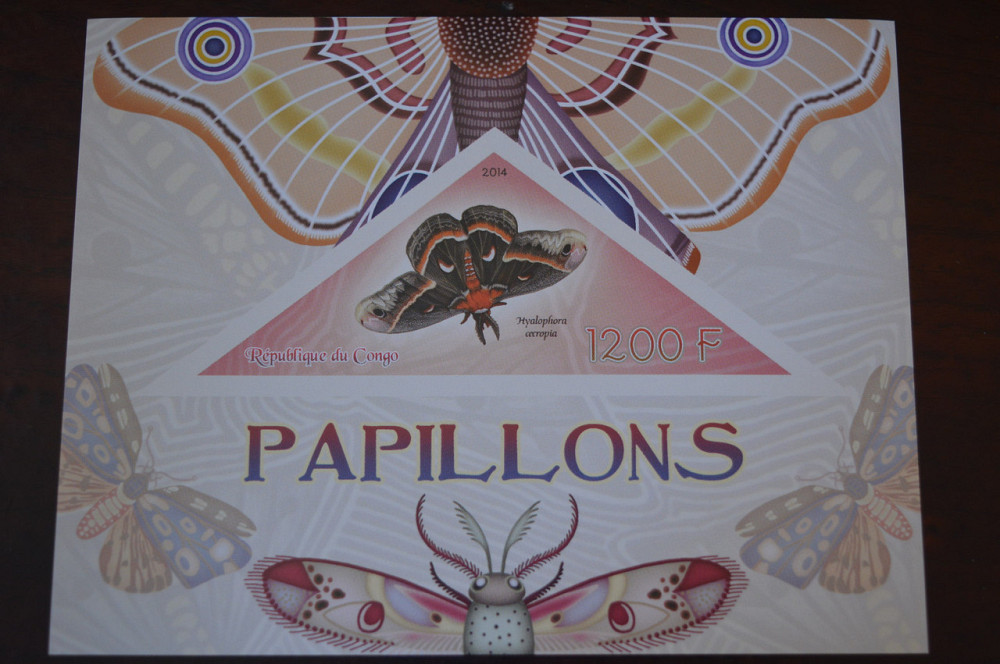 Конго. Фауна. Личности. Блок. 2014 р. (А-34) Полтава - фото 1