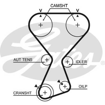 Ремень ГРМ Gates T313 Винница - изображение 1