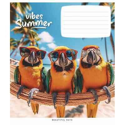 Тетрадь Школярик Summer vibes 24 листа линия (024-3494L) Винница