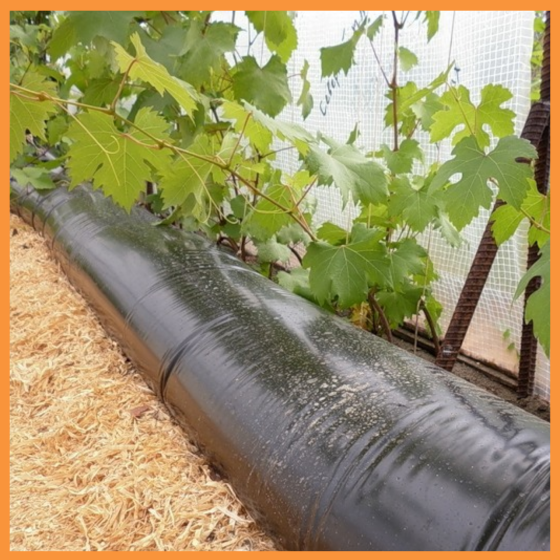 Плівка 120 мкм 6*50 м чорна поліетиленова для мульчування та будівництва Дніпро