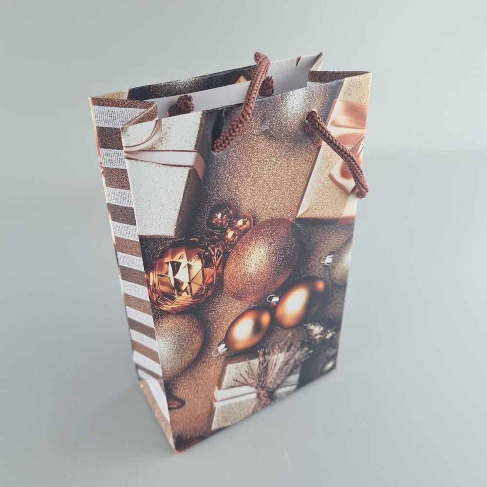 Пакеты новогодние ,бумажные ,подарочные , Малый 11/18/5 -002 (12 шт) Харьков - изображение 1