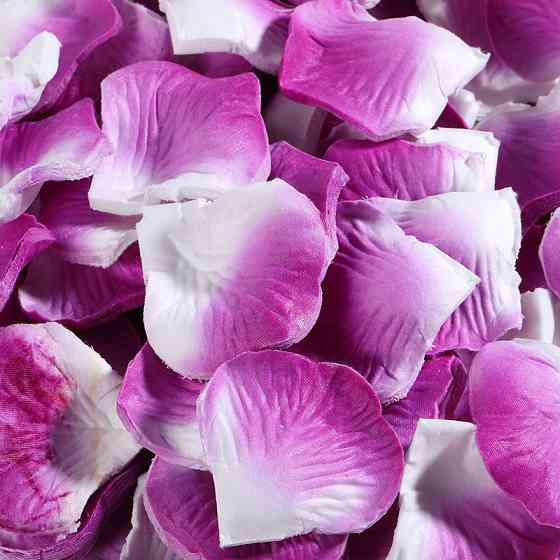 Штучні пелюстки троянд 200 штук 50 на 50 мм біло-фіолетовий Київ