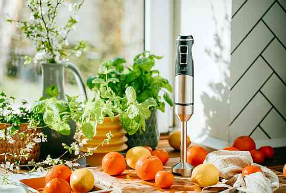 Блендер Adler AD 4628 ручний/ 1500Вт/ 1 швидк./ без чаші/ Turbo/ Ice Crush/ чорний Вінниця