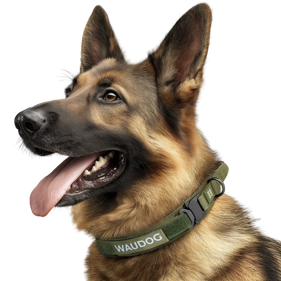 Ошейник с ручкой тактический для собак WAUDOG PRO, металлический фастекс, M, Ш 50 мм, Дл 38-47, хаки Киев - изображение 4