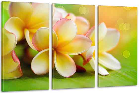 Модульна картина Квіти Аrt-96_3А Київ