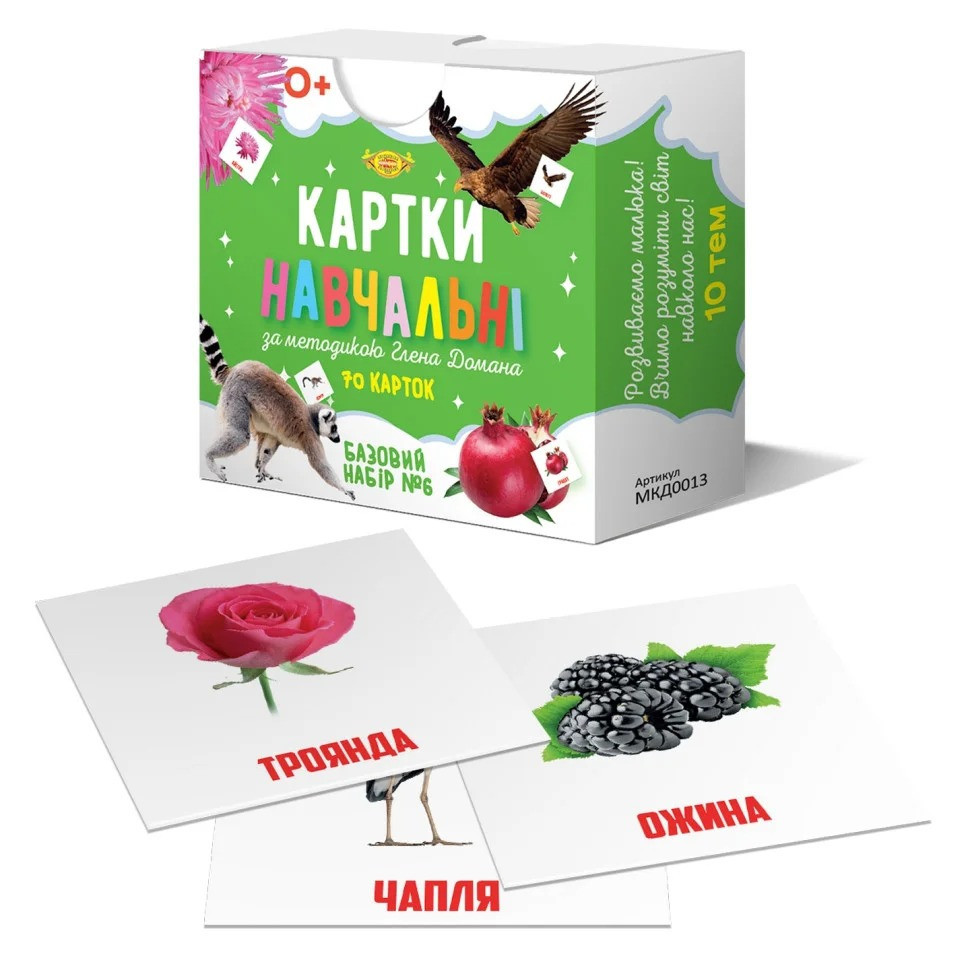 Карточки обучающие Гленна Домана №6 Мастер MKD0013 укр Винница - изображение 1