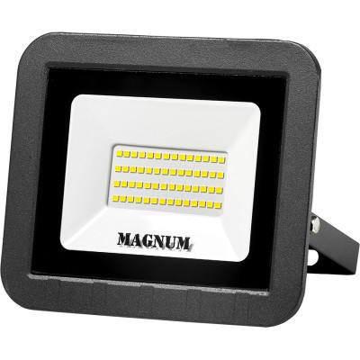 Прожектор MAGNUM FL ECO LED 50Вт slim 6500К IP65 (90011661) Вінниця - фото 1