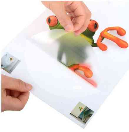 Наклейка Жаба на стіну 15 на 16 см різнобарвний Київ