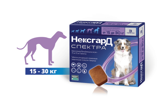 NexGard Spectra L (Нексгард Спектра L) таблетки від кліщів, бліх і гельмінтів для собак вагою від 15 до 30 кг Запоріжжя