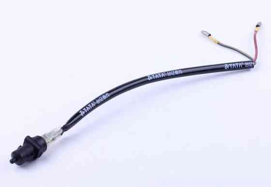 Жаба (пальчикова) Мукачево