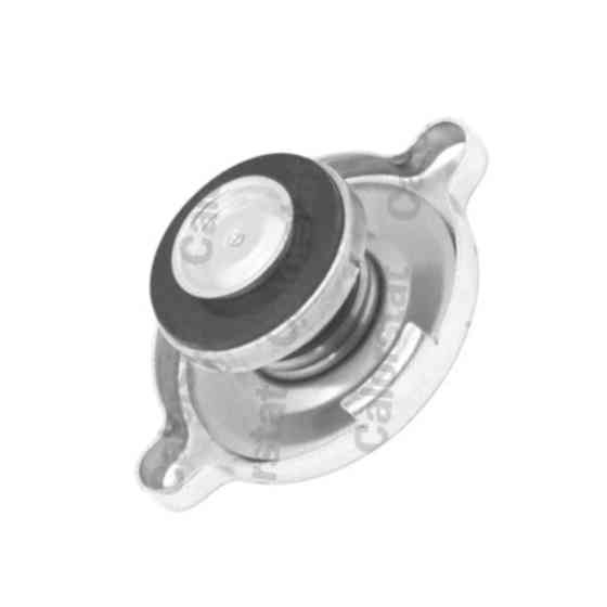 Крышка Mercedes-Benz Sprer 00-06 2.3D, Vito 638 RC0049 радиатора Мукачево