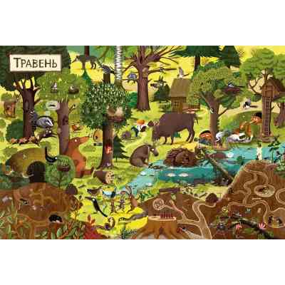 Книга Рік у лісі - Емілія Дзюбак Видавництво Старого Лева (9786176792789) Вінниця