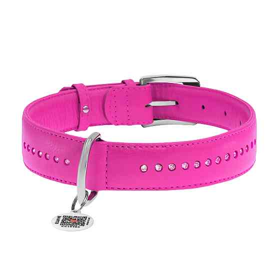 Нашийник для собак шкіряний WAUDOG Glamour з QR паспортом, подвійний зі стразами, L, Ш 25 мм, Д Коломыя