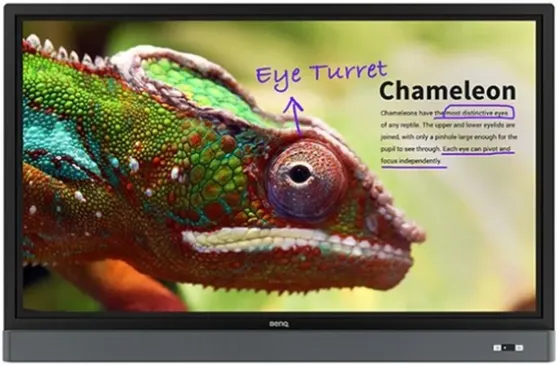 Монитор  interaktywny BenQ RM-5501K Киев