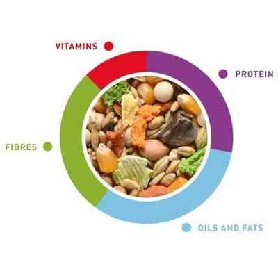 Корм для гризунів Padovan GrMix Topolini для мишей та щурів 400 г (8001254005898) Вінниця