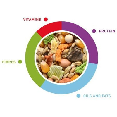 Корм для гризунів Padovan GrMix Topolini для мишей та щурів 400 г (8001254005898) Вінниця - фото 2