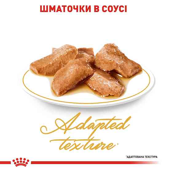 Вологий корм для дорослих котів ROYAL CANIN MAINECOON ADULT 0.085 кг Київ