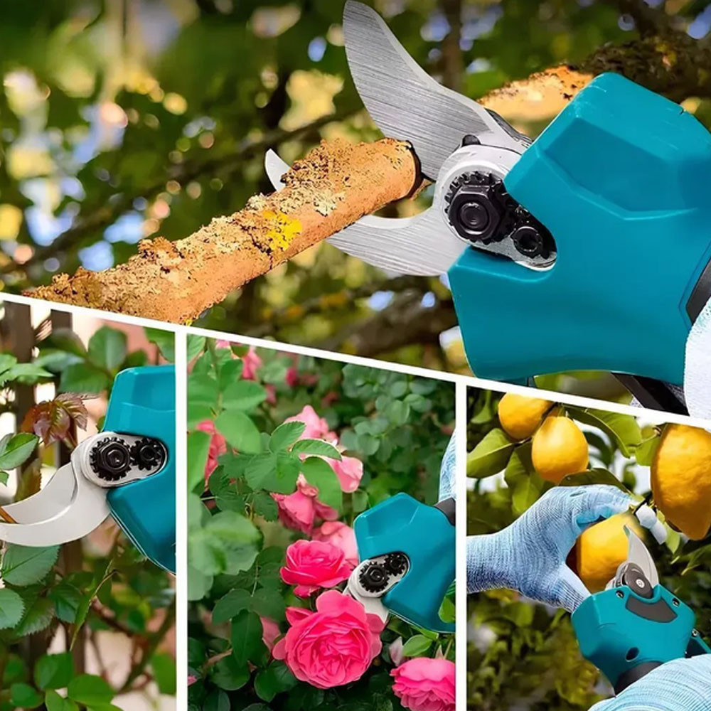 Акумуляторна ланцюгова пилка + садовий секатор 2 акумулятори,21V SBR Київ - фото 2