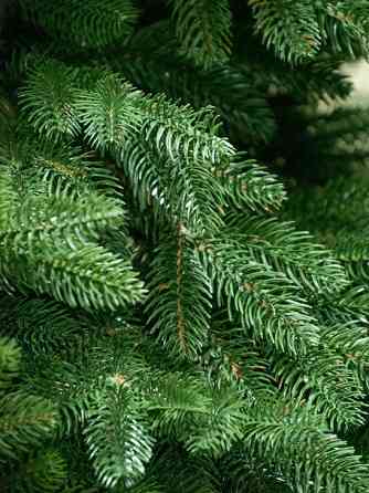 Искусственная пушистая елка Премиум (высота 3.2 м) литая (Зеленая) Киев