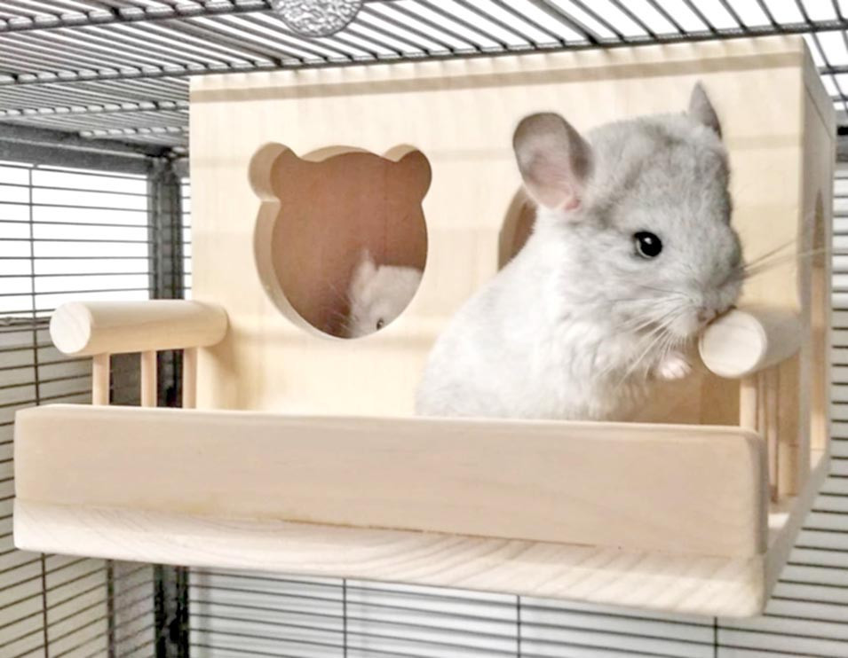 Будиночок для шиншили "Каріда" бланже Миколаїв - фото 1