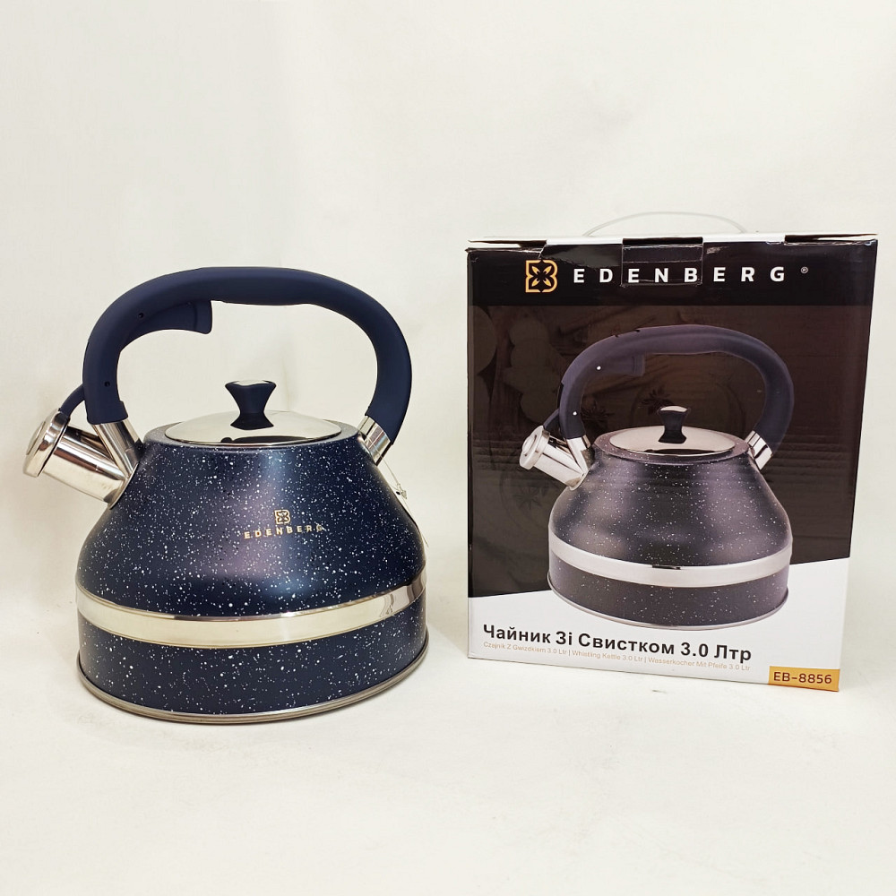 Чайник газовий красивий, Кухонний чайник газовий, Хороший чайник зі свистком 3 л зі свистком KH-80 Львів - фото 2