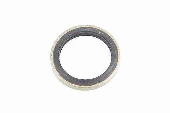 Шайба паливопровода низького тиску (прогумована) 14х20х2 Киев