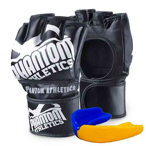 Рукавиці для ММА Phantom Blackout Black L/XL (капа у подарунок) Кам'янське