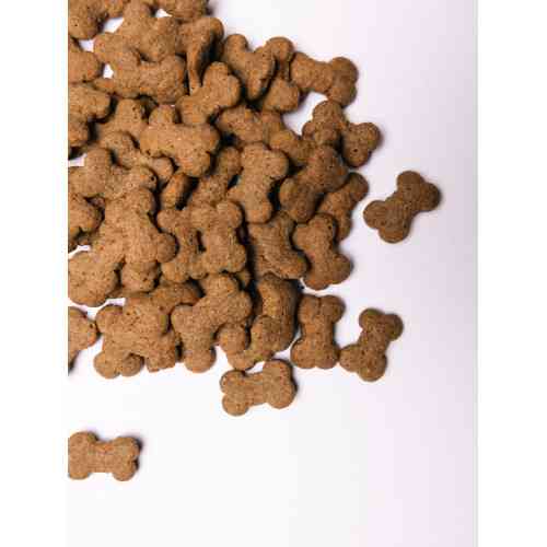 Хрусткі ласощі Savory Puppies Lamb and Sea Buckthorn для цуценят усіх порід для здорового росту з ягням та обліпихою 200 г Київ