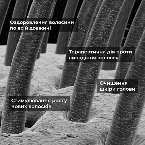 Набор Serenoa & РР Hair Loss Control, 500 мл + Натуральная маска Bamboo, 200 мл Киев