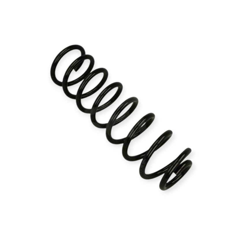 Пружина Renault Megane II 03- (седан) задняя Мукачево - изображение 1