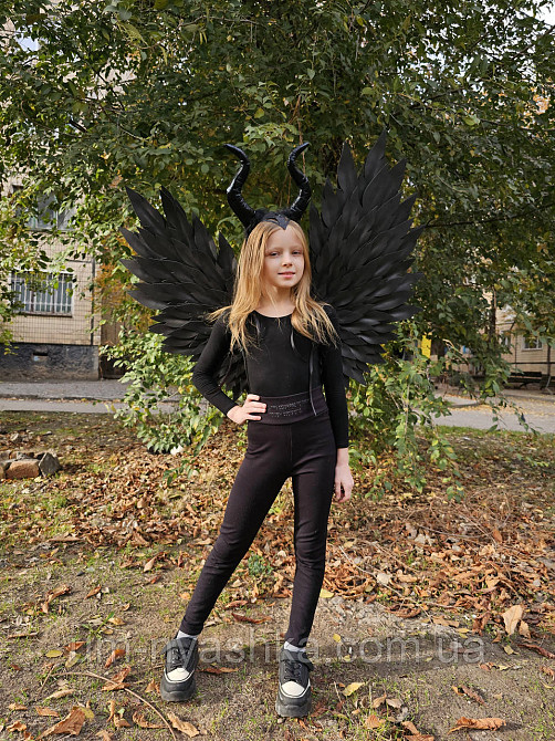 Чорні Крила великі Кривий Ріг - фото 4
