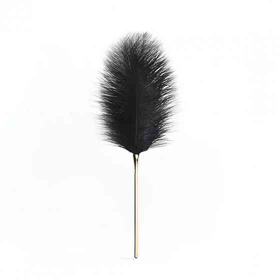 Перо на позолоченій ручці Premium Feather Tickler UPKO Sex Aura Київ
