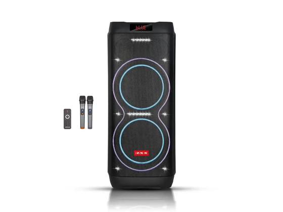 Портативна акустична колонка ZXX-5560 100Вт, 2×10" динаміка, TWS/FM/USB/TF/BT/LED, 2 мікрофони, пуль Київ