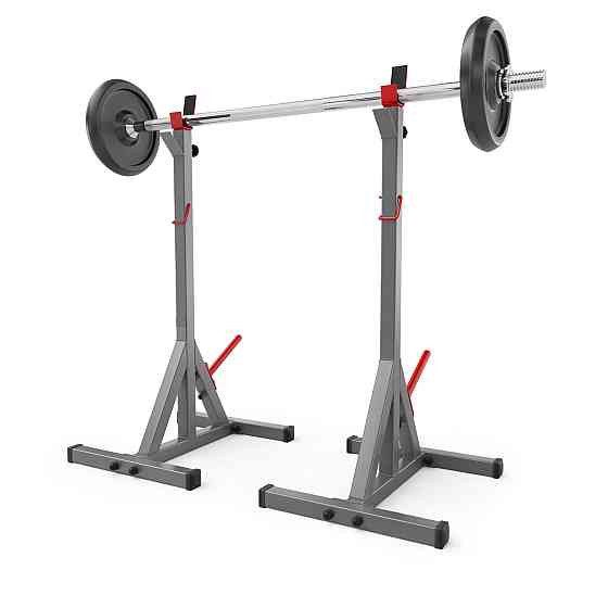 Стойки под штангу Magnus-200 Стойки, скамьи для жима и приседаний независимые регулируемые Киев