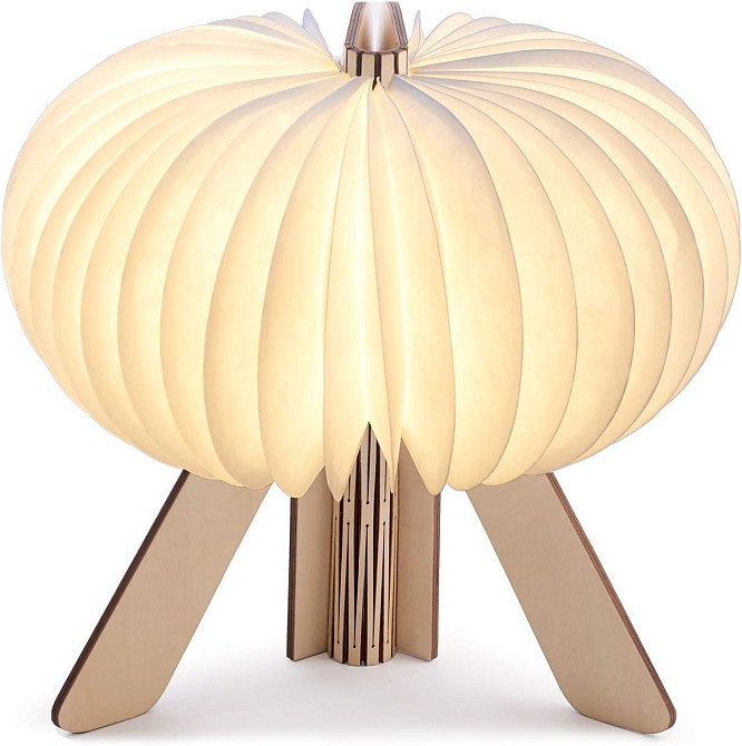 Настільна лампа на акумуляторі Gingko - "R Space Lamp" Рівне - фото 6
