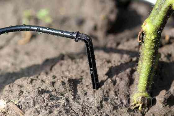 Крапельниця садова Presto-PS "Спиця" 2 л/год, в пакованні — 100 шт. (2102) Харків