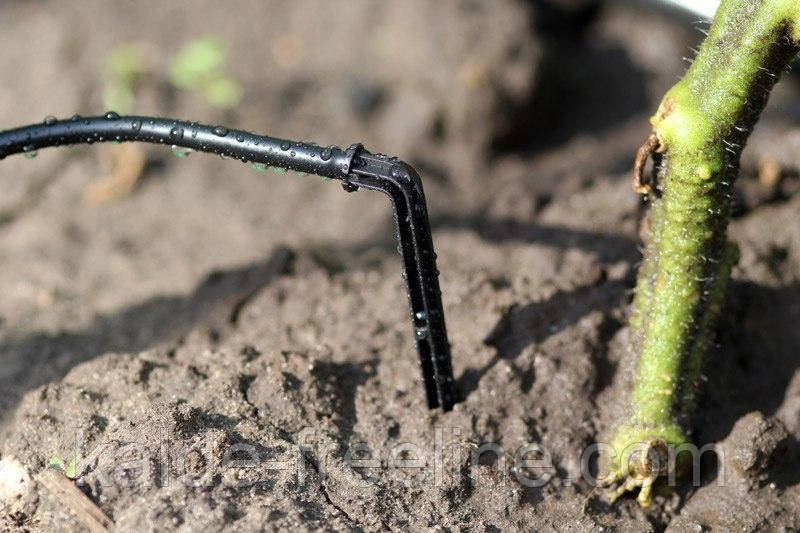 Крапельниця садова Presto-PS "Спиця" 2 л/год, в пакованні — 100 шт. (2102) Харків - фото 4