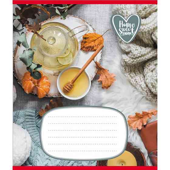 Зошит учнівський "Домашній затишок" 018-540253L-2 в лінію, 18 аркушів Вінниця