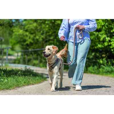 Ошейник для животных Trixie Cavo полуудавка XS–S 25–31 см d 12 мм розово-песочный (4053032678002) Винница