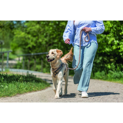 Ошейник для животных Trixie Cavo полуудавка XS–S 25–31 см d 12 мм розово-песочный (4053032678002) Винница - изображение 3